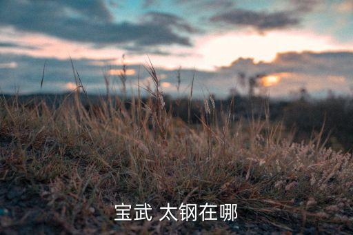 寶武 太鋼在哪
