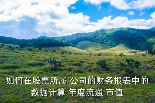 中國上市公司市值年度報告,最新中國上市公司市值500強(qiáng)