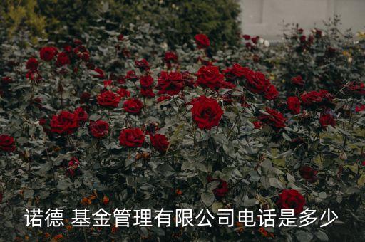 諾德 基金管理有限公司電話是多少