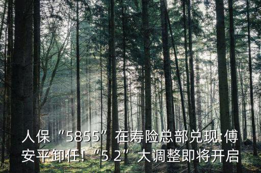 人?！?855”在壽險(xiǎn)總部兌現(xiàn):傅安平卸任!“5 2”大調(diào)整即將開啟