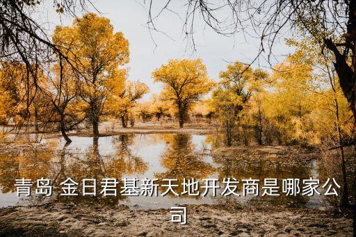 青島 金日君基新天地開(kāi)發(fā)商是哪家公司