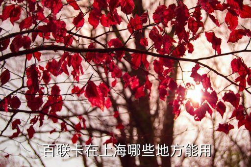 百聯(lián)集團(tuán)全渠道項(xiàng)目,上海百聯(lián)集團(tuán)長(zhǎng)沙機(jī)場(chǎng)項(xiàng)目