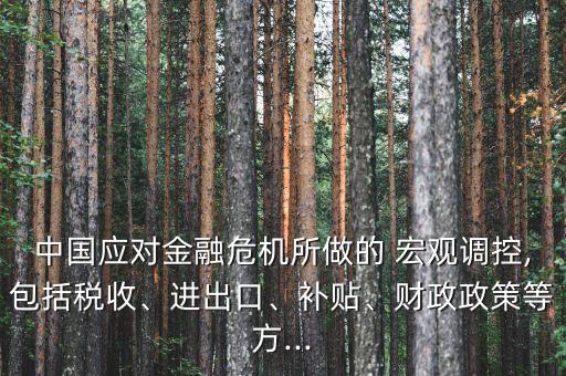 中國(guó)應(yīng)對(duì)金融危機(jī)所做的 宏觀調(diào)控,包括稅收、進(jìn)出口、補(bǔ)貼、財(cái)政政策等方...