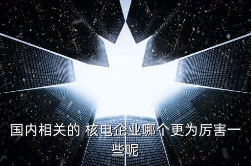 國(guó)內(nèi)相關(guān)的 核電企業(yè)哪個(gè)更為厲害一些呢