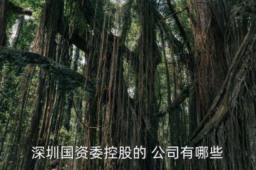 深圳市特區(qū)經(jīng)濟(jì)發(fā)展公司,聯(lián)合國(guó)特區(qū)經(jīng)濟(jì)發(fā)展委員