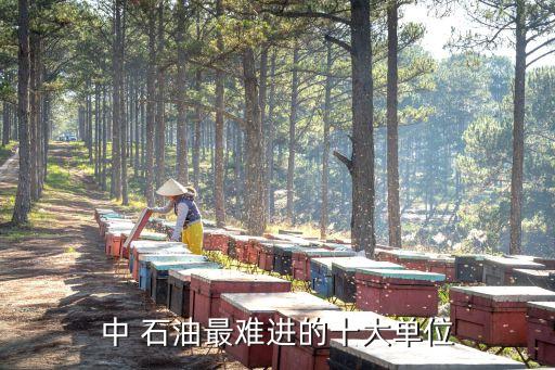 中國(guó)石油哈薩克斯坦公司招聘