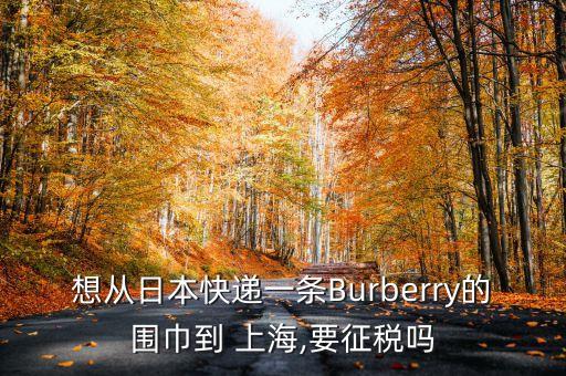 上海海關奢侈品包征多少稅