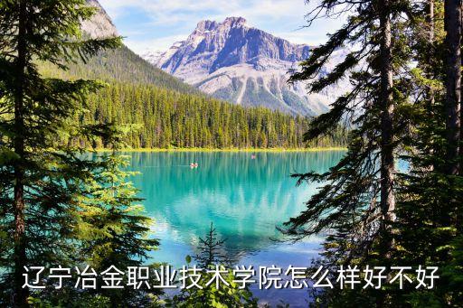 遼寧冶金職業(yè)技術(shù)學院怎么樣好不好