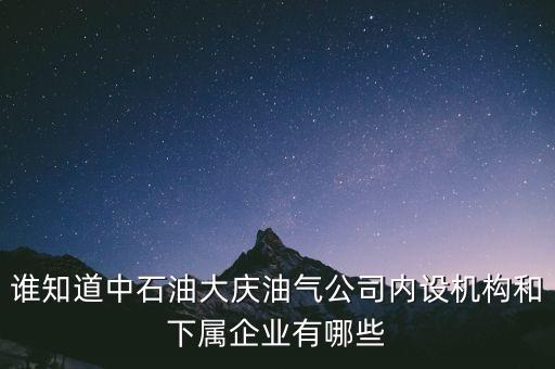 誰知道中石油大慶油氣公司內設機構和下屬企業(yè)有哪些