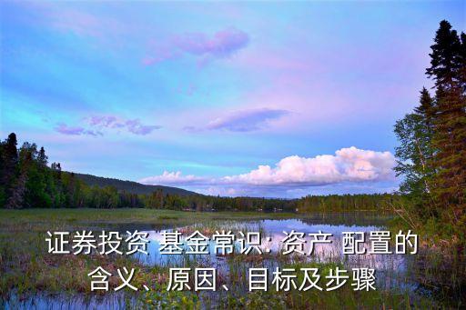 證券投資 基金常識(shí): 資產(chǎn) 配置的含義、原因、目標(biāo)及步驟