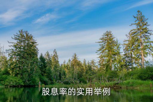 股息率的實(shí)用舉例