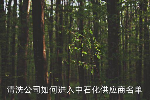 清洗公司如何進入中石化供應商名單