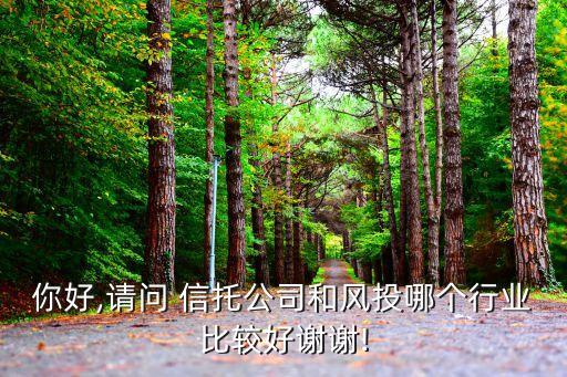 你好,請問 信托公司和風(fēng)投哪個行業(yè)比較好謝謝!