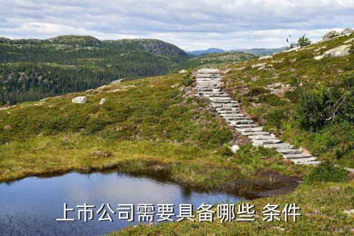 上市公司首次公開(kāi)發(fā)行股票條件,只有上市公司才能公開(kāi)發(fā)行股票嗎