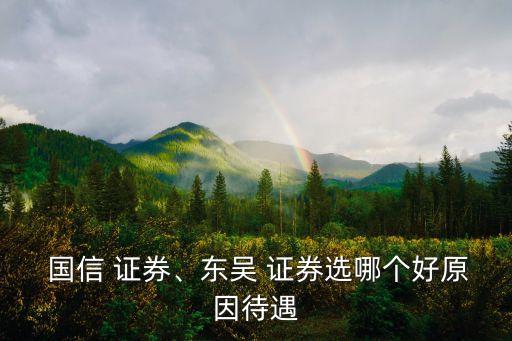  國信 證券、東吳 證券選哪個好原因待遇