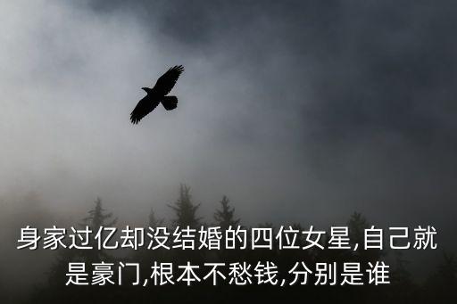 身家過億卻沒結婚的四位女星,自己就是豪門,根本不愁錢,分別是誰