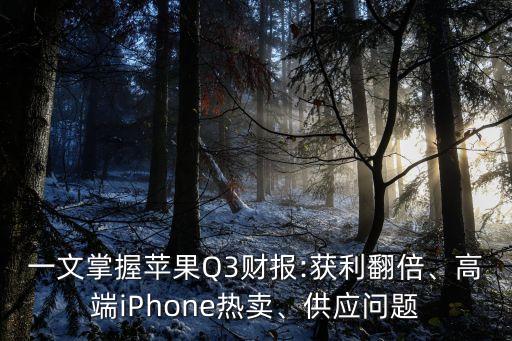 一文掌握蘋果Q3財(cái)報(bào):獲利翻倍、高端iPhone熱賣、供應(yīng)問題