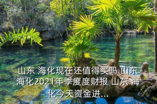 山東?；M出口有限公司
