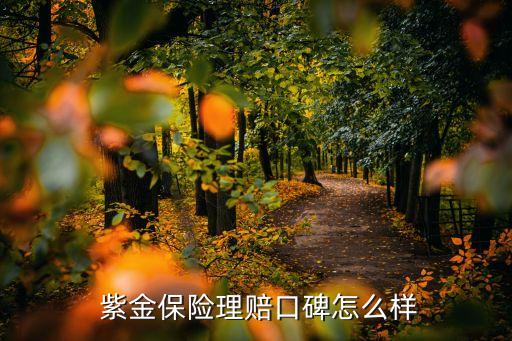  紫金保險(xiǎn)理賠口碑怎么樣