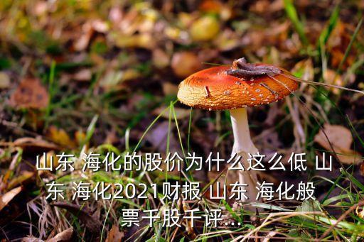  山東 ?；墓蓛r為什么這么低 山東 ?；?021財報 山東 ?；闫鼻Ч汕гu...