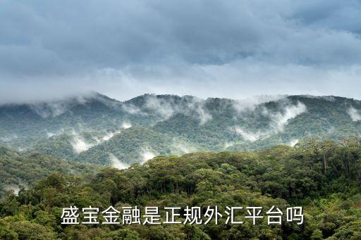 盛寶投資集團,山東盛寶集團