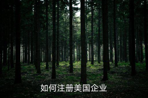 如何注冊(cè)美國企業(yè)