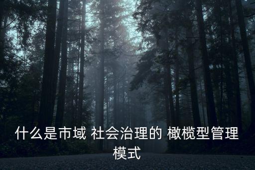 中國怎樣實(shí)現(xiàn)橄欖型社會(huì)