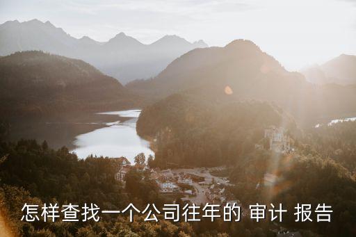 拉卡拉集團(tuán)的審計報告,旺旺集團(tuán)審計報告