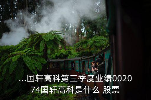 ...國(guó)軒高科第三季度業(yè)績(jī)002074國(guó)軒高科是什么 股票