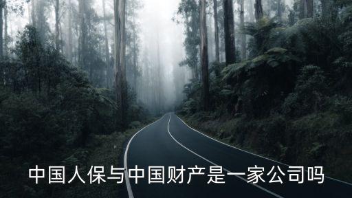 中國(guó)人保與中國(guó)財(cái)產(chǎn)是一家公司嗎