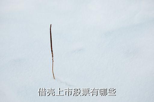 借殼上市股票有哪些