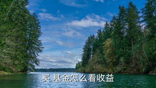 每天開放式基金查詢,開放式基金凈值可以實(shí)時(shí)查詢嗎