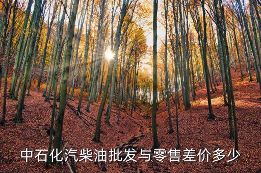 中石化汽柴油批發(fā)與零售差價(jià)多少