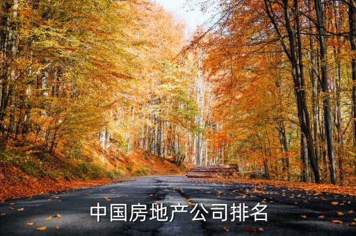 中國房地產公司排名