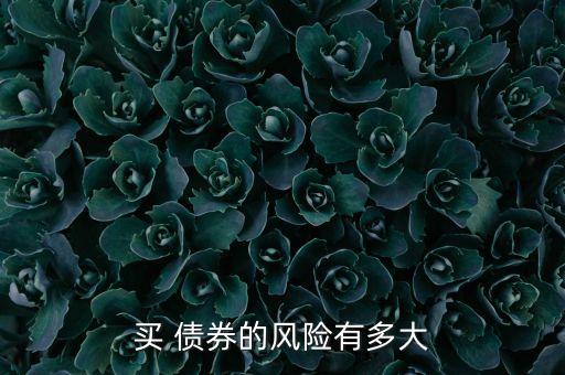 買 債券的風(fēng)險有多大