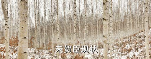 開(kāi)封新大新公司董事長(zhǎng)宋賀臣電話