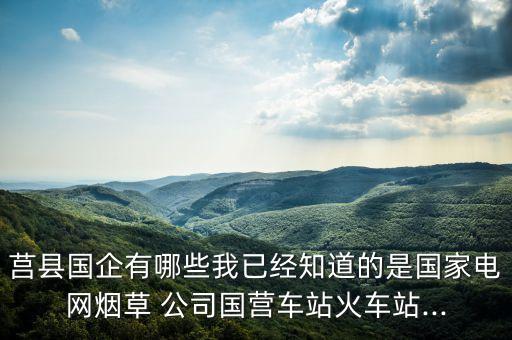 莒縣國(guó)企有哪些我已經(jīng)知道的是國(guó)家電網(wǎng)煙草 公司國(guó)營(yíng)車(chē)站火車(chē)站...
