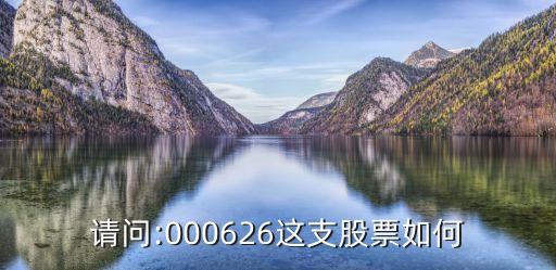 請(qǐng)問(wèn):000626這支股票如何