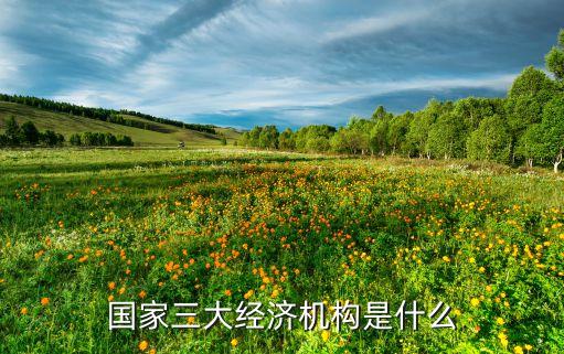 國家三大經(jīng)濟機構是什么