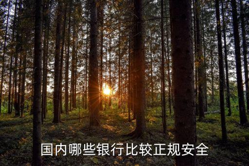 國內(nèi)哪些銀行比較正規(guī)安全