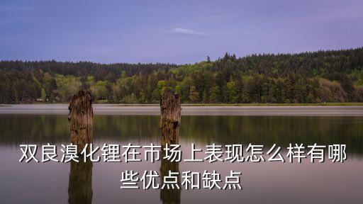  雙良溴化鋰在市場上表現(xiàn)怎么樣有哪些優(yōu)點和缺點