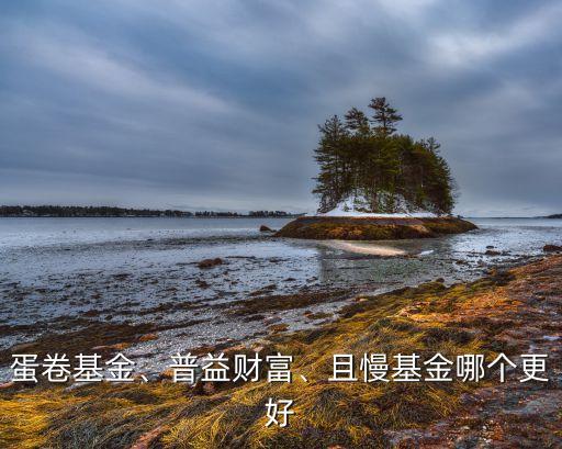 蛋卷基金、普益財(cái)富、且慢基金哪個(gè)更好