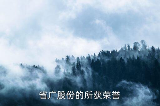 2013中國廣告長城獎,中國廣告長城獎作品分析
