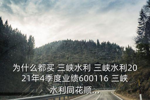 三峽電利股票,三峽重組買(mǎi)哪個(gè)股票
