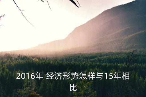 2016年 經(jīng)濟形勢怎樣與15年相比