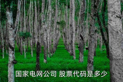 國(guó)家電網(wǎng)公司 股票代碼是多少