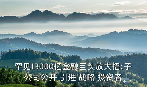 引進戰(zhàn)略投資者的混合制改革
