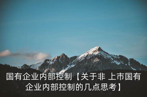 國有企業(yè)內(nèi)部控制【關(guān)于非 上市國有企業(yè)內(nèi)部控制的幾點(diǎn)思考】