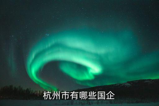 杭州市有哪些國(guó)企