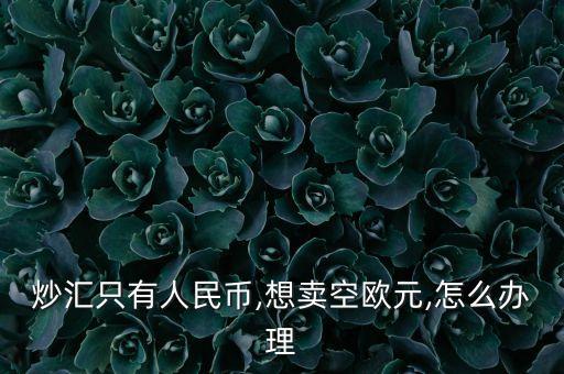 炒匯只有人民幣,想賣(mài)空歐元,怎么辦理